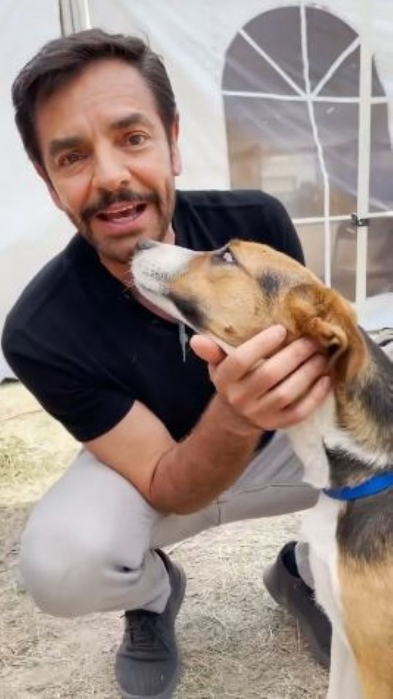 Eugenio Derbez apoya la adopción de perros callejeros