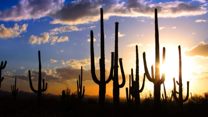 Conagua: Consulta el pronóstico del clima y el tiempo de este 27 de abril para Sonora