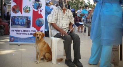 ¡De no creerse! Investigan a canino por 'contagiar' a familia mexicana de Covid-19