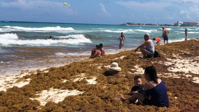 Semar advierte sobre situación "alarmante" respecto al sargazo en playas de Quintana Roo