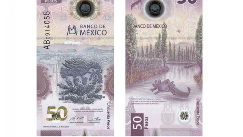 Billete de 50 pesos con el ajolote gana premio internacional al mejor del año