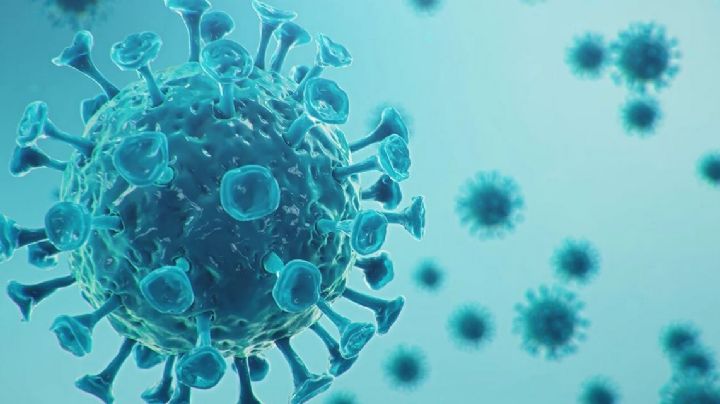 Surge nueva variante del Covid-19; descubre cuáles son los síntomas de XE