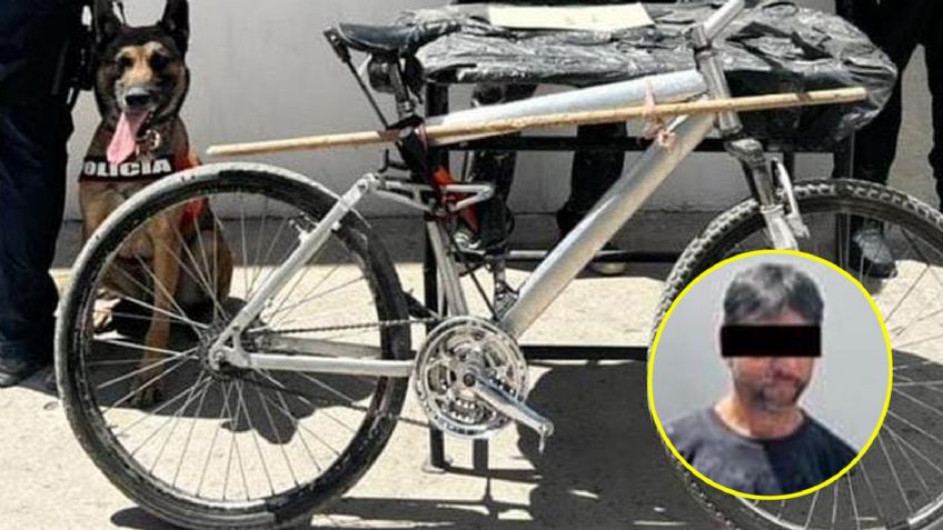 Perro policía ayuda a detener a ciclista en Hermosillo; detectó aparente narcótico