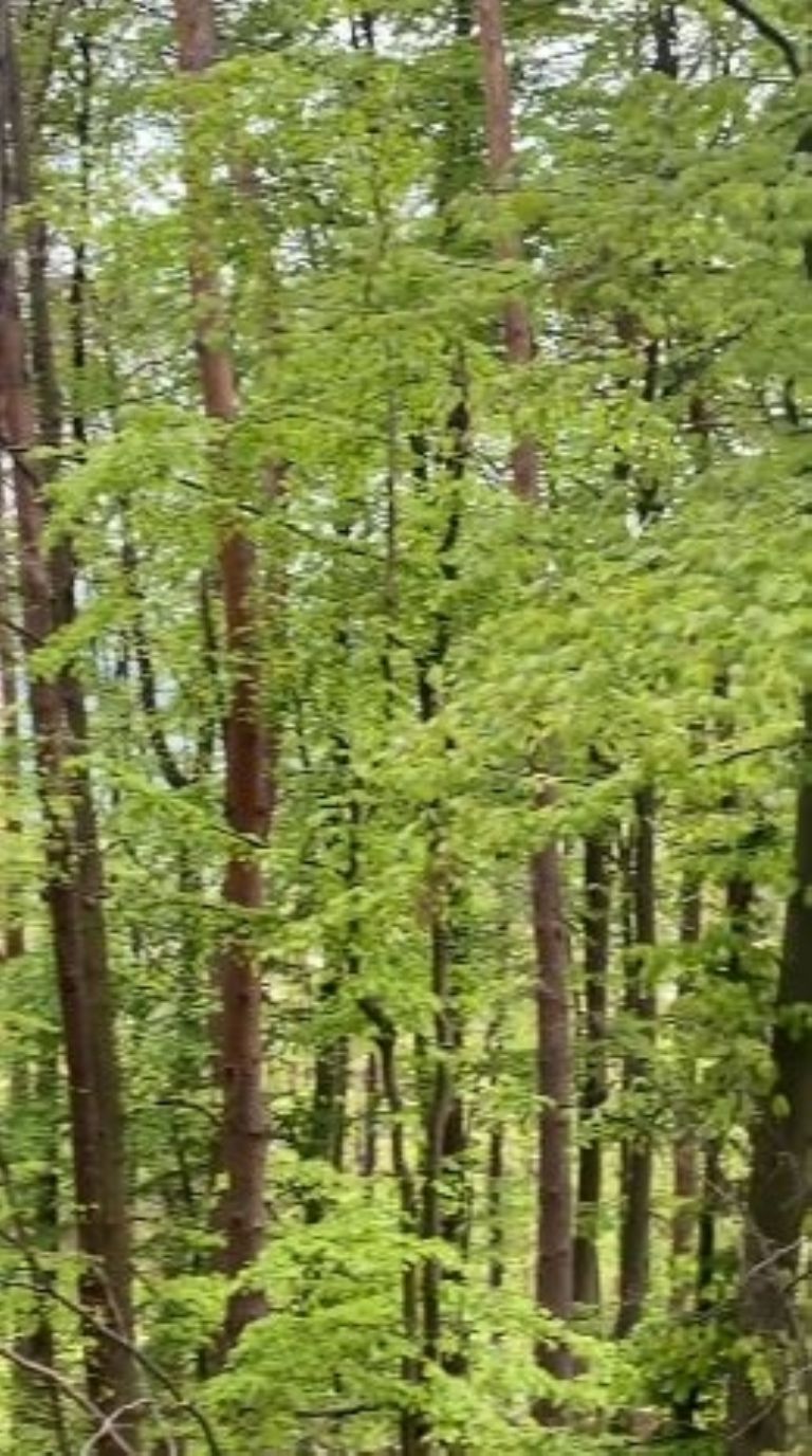 Pati Chapoy práctica senderismo 