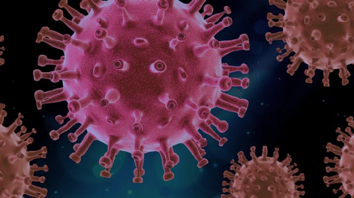La pandemia no cede: Nueva cepa del Covid-19 representa más del 40% de contagios en EU