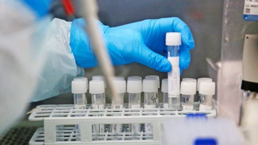 ¿Fin a los contagios por Covid-19? Científicos descubren la forma de detener la infección