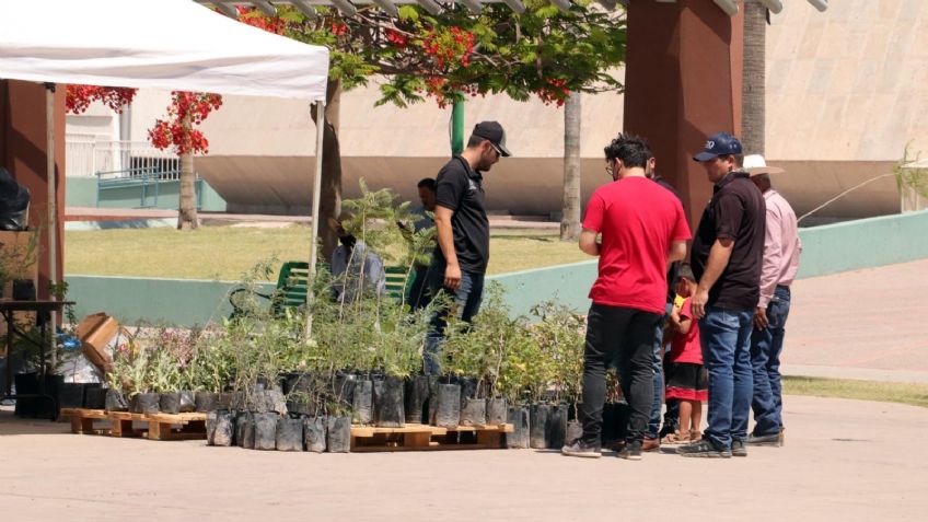 Cajeme, municipio rezagado en cultura de reciclaje y cuidado del medio ambiente