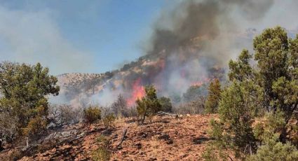 Incendio forestal en Ímuris lleva un control del 40%, confirma Protección Civil Estatal