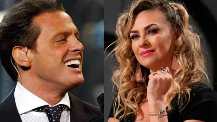 Tiembla Aracely Arámbula: Luis Miguel reaparece en VIDEO y luce irreconocible; deja en shock