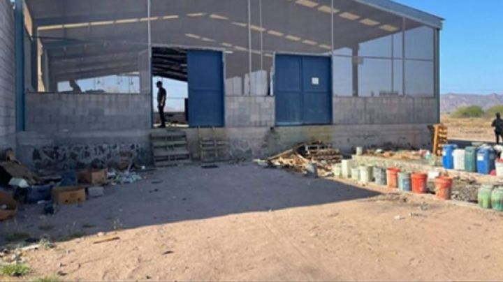 Golpe al crimen: Incautan más de mil 500 litros de químicos en narcolaboratorio en Guaymas