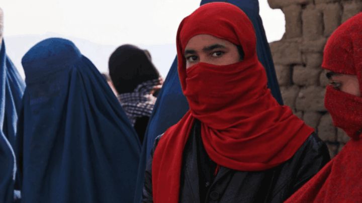 Represión en Afganistán: Talibanes niegan licencias de conducir a mujeres