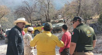 Incendio forestal en Ímuris queda controlado en un 100 por ciento, reporta Protección Civil