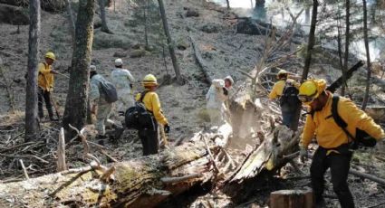 Incendio forestal en Sahuaripa está controlado al 55%; los de Yécora y Carbó están liquidados