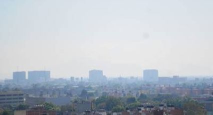 Hoy No Circula: Por contaminación, continúa Fase 1 de contingencia ambiental en el Valle de México