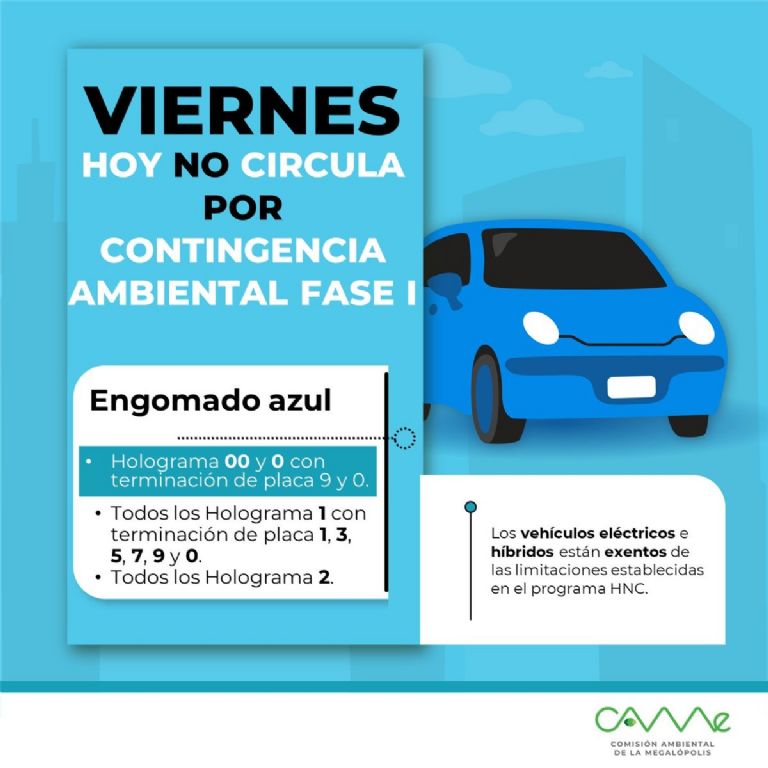 En la imagen, el programa Hoy No Circula de este viernes por contingencia.