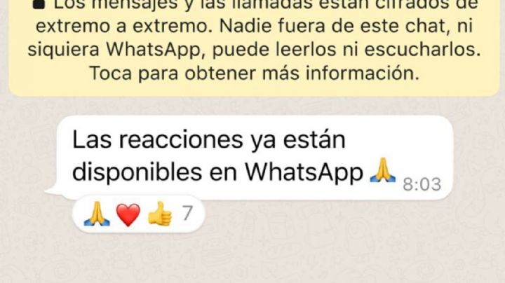 ¡Ya están aquí! WhatsApp activa las reacciones a los mensajes recibidos en la aplicación