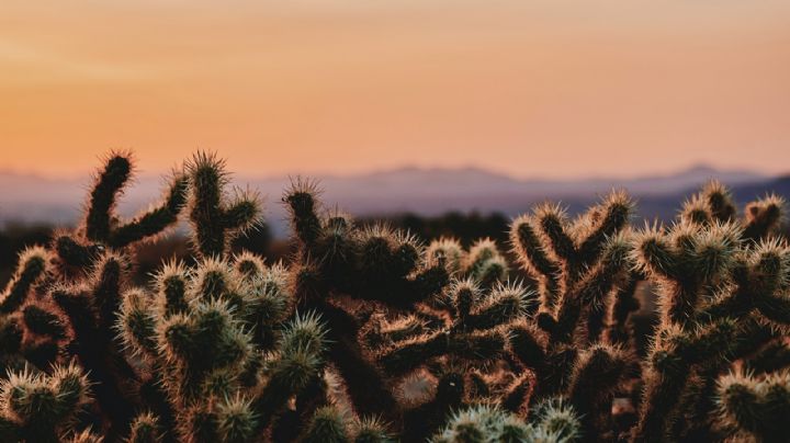 Conagua: ¿Cuál es el pronóstico meteorológico de este lunes 9 de mayo para Sonora?