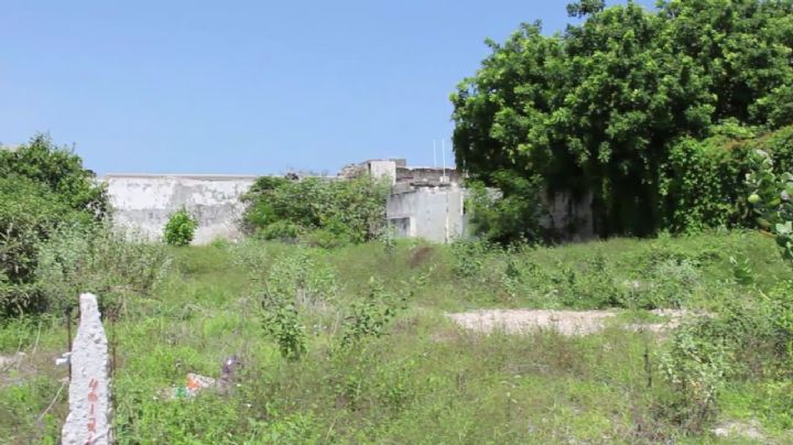 De terror: Sujeto huye tras hallar los restos de un cuerpo en el interior de un bolsa