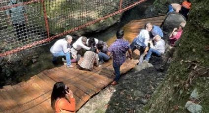 Cesan a funcionarios en Cuernavaca tras incidente en puente colgante; invirtieron 3mdp