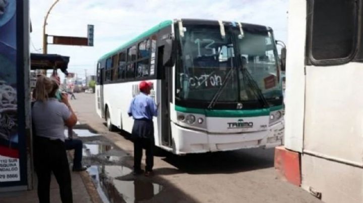 Línea 7 y 12 del transporte público, en peligro de desaparecer en Ciudad Obregón 