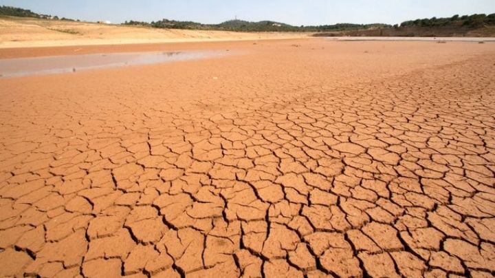Sequía azota Italia: Expertos advierten que cultivos están a punto de perderse