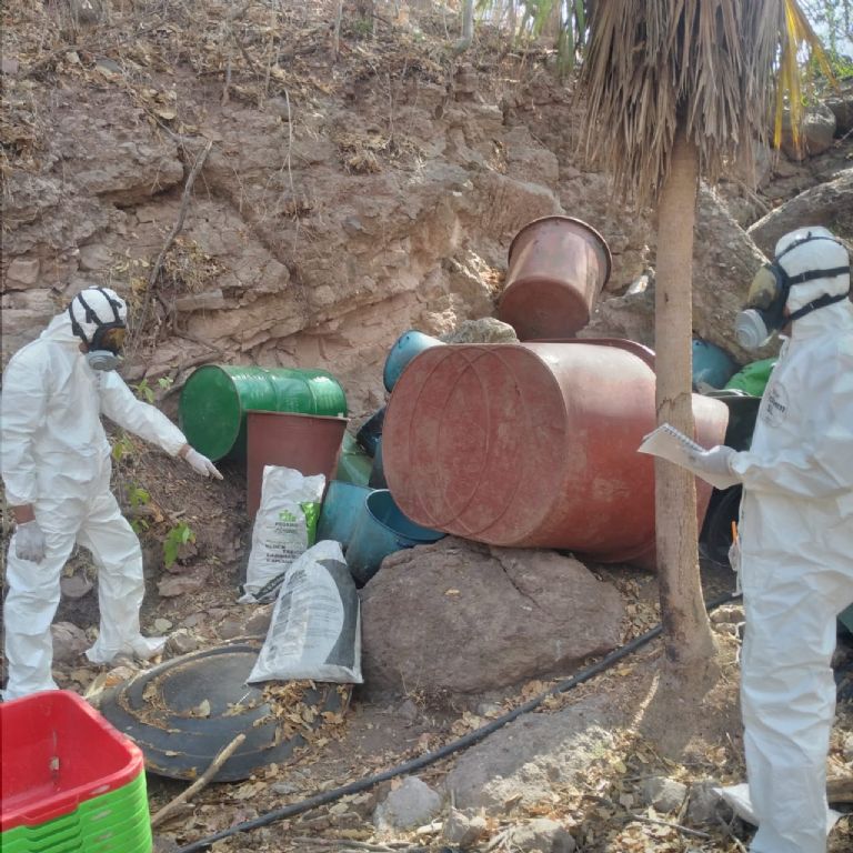 Aseguran laboratorio clandestino en Sinaloa. Foto: Twitter