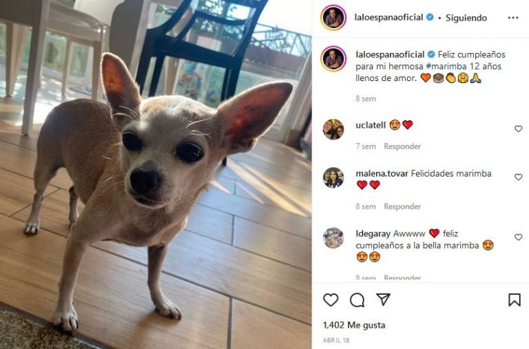 Cumpleaños de 'Marimba'