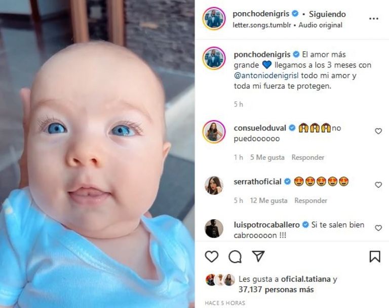 Hijo de Poncho De Nigris