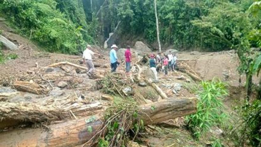 'Celia' deja daños en casas y vías de comunicación en Oaxaca; hay una persona fallecida