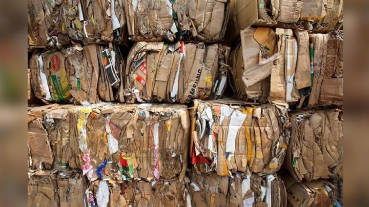 Ponguinguiola llega a las 300 toneladas de acopio para reciclaje en Ciudad Obregón