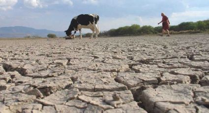 Crisis de agua: Estrés hídrico en Sonora pone en jaque el futuro de los habitantes