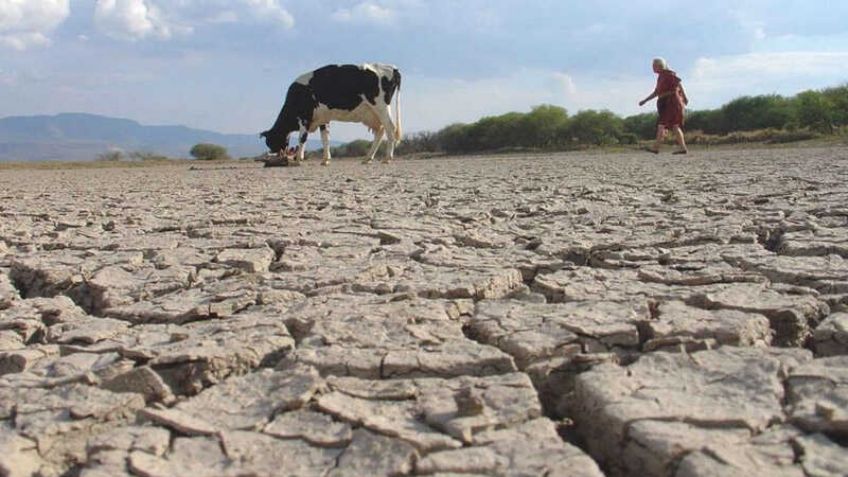 Crisis de agua: Estrés hídrico en Sonora pone en jaque el futuro de los habitantes