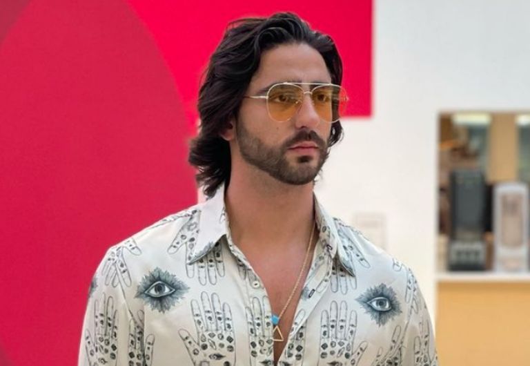 Luis potro caballero