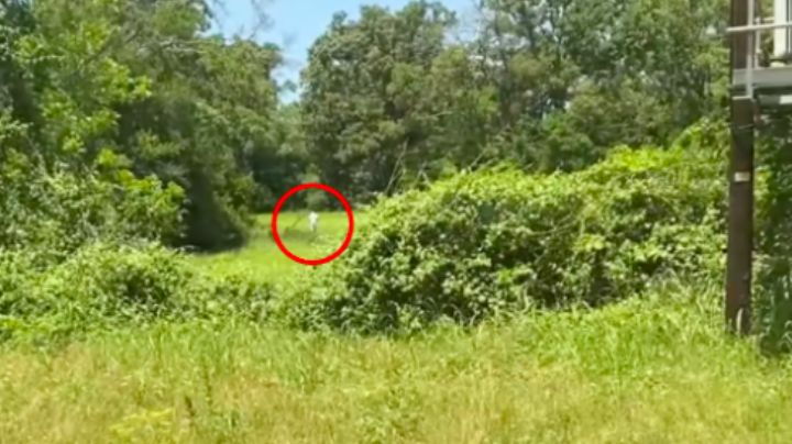 Fugitivo acusado de matar a una familia en Texas, termina acribillado por las autoridades