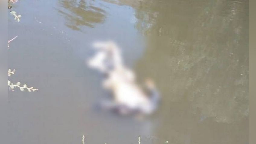 Hombre es hallado sin vida dentro de un canal de aguas negras en Hidalgo