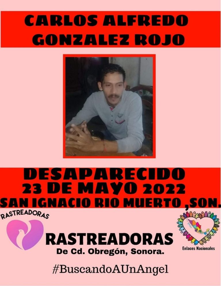 La ficha de Carlos Alfredo González Rojo