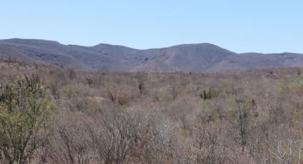Plan de Justicia Yaqui: Proyecto para restituir tierras de la etnia en Sonora avanza lento
