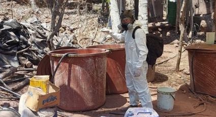 Golpe al Cártel de Sinaloa: Desmantelan laboratorios clandestinos de droga al norte de México