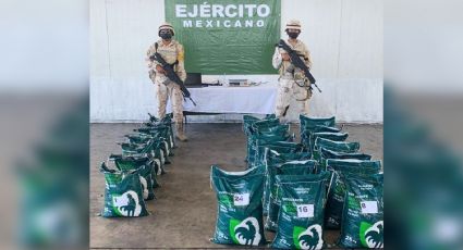 Sonora: Descubren 315 kilos de metanfetamina en tráiler que transportaba fertilizante