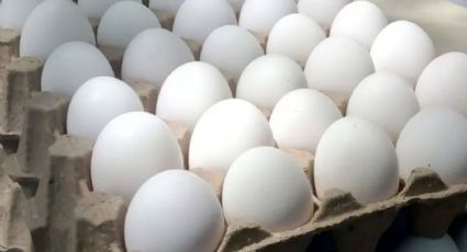 Esto es lo que debe costar el kilo de huevo en México, según los datos de la Profeco