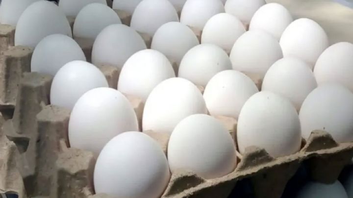 Esto es lo que debe costar el kilo de huevo en México, según los datos de la Profeco