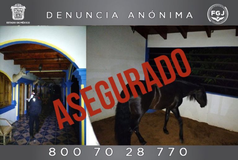 Autoridades aseguraron mansiones y animales que pertenecerían a 'La Familia Michoacana'.  Foto: Twitter @FiscalíaEdomex