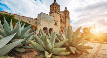 Oaxaca recibe premio a la mejor ciudad del mundo para visitar en los World's Best Awards