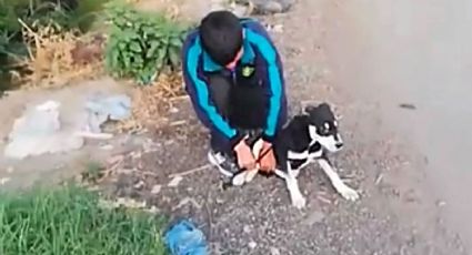 Edomex: Hombre ata a perro y lo avienta a canal, pero vecino lo obliga a rescatarlo
