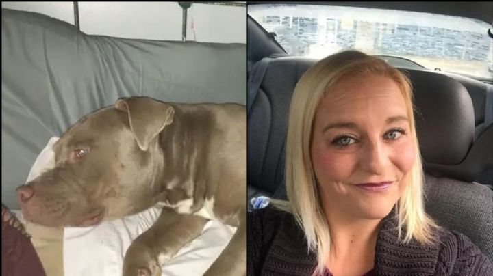 Una mujer es terriblemente atacada por su perro; su mascota le amputó una parte del brazo