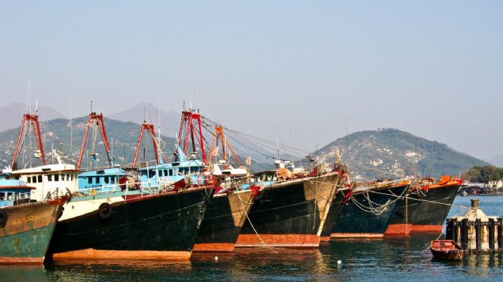 Barco industrial se parte en dos por tormenta tropical; estiman que hay más de 24 fallecidos