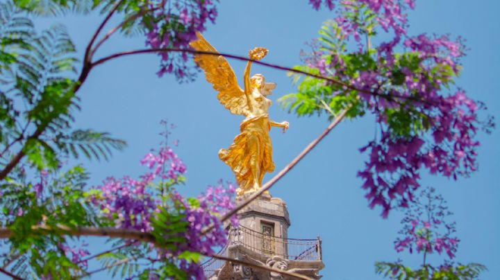 Hoy No Circula 29 de julio 2022: Estas placas no transitan este viernes en CDMX y Edomex