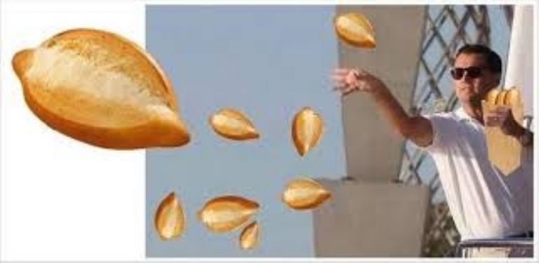 Memes por el sismo. Foto: Internet