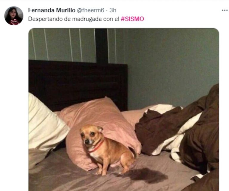 Memes por el temblor. Foto: Twitter