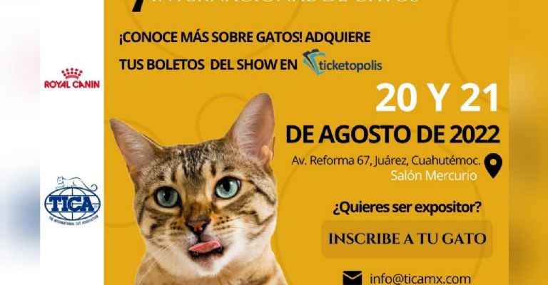 Cartel de actividades de la Expo Show Internacional de Gatos